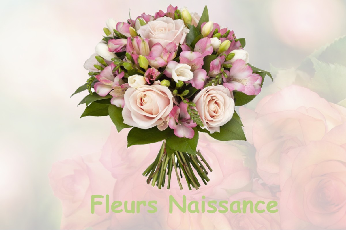 fleurs naissance NOIDANT-LE-ROCHEUX